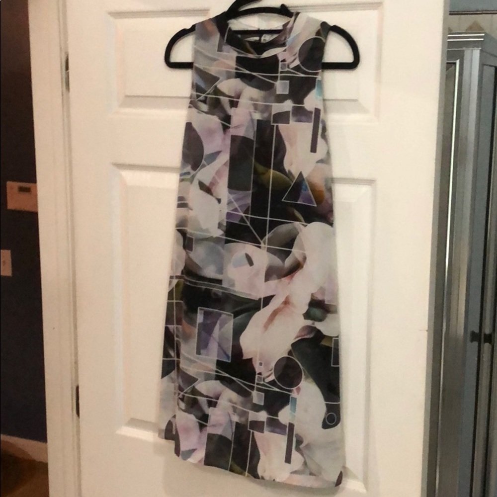 Multi colored BarIII shift dress